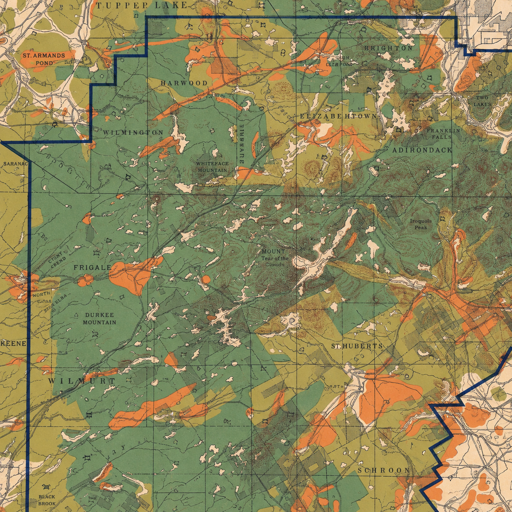 Map Adirondacks Historic Map, The Proposed Adirondack Park, c1890